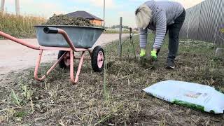 #54 ДАЧНЫЙ ВЛОГ👩‍🌾ОБЛАГОРАЖИВАЕМ ТЕРРИТОРИЮ ЗА ЗАБОРОМ 🌿САЖАЕМ КЕДР,СОСНУ,РЯБИНУ И ГОРТЕНЗИИ🌳🌲🪻