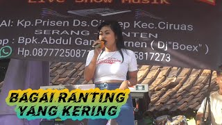 BAGAI RANTING YANG KERING || CINTA SHAKIRA