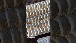 Homemade dumplings