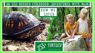 How We Saved 253 Turtles! (And Still Counting!) | Turtle Conservation For Kids!