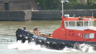 GPS CERVIA Tug on Thames