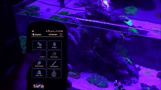 iPhone/Android Aquarium Lighting Controller