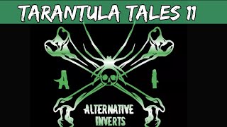 Tarantula Tales 11 featuring Alternative Inverts