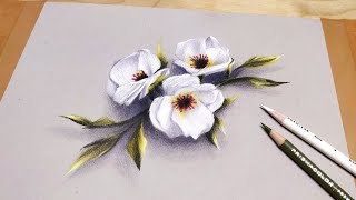 How to draw white flowers -- tutorial -- prismacolor pencils.