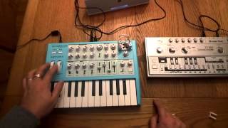 Syncing Cyclone TT 303 with Arturia Microbrute