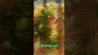 Свежие вегетарианские щи