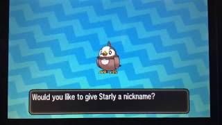 Shiny Starly after 171 masuda method eggs [Ultra Sun and Moon]