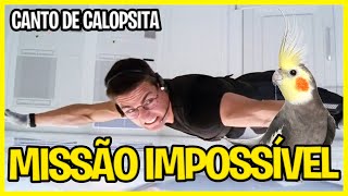 Canto de Calopsita - Missão Impossível