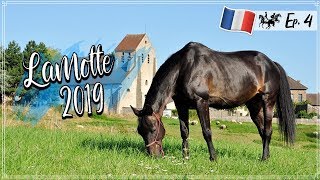 🇫🇷 Lamotte Ep. 4 - RETOUR, HAUL & VACANCES DE GAMIN 🌱