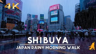 【4K 60】Shibuya - Japan Rainy Morning Walk Tour | 雨の渋谷朝散歩 - 2024/01