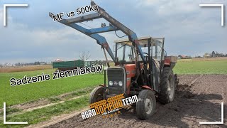 Sadzenie ziemniaków 2022✔▶MF vs 500kg!🔥Massey Ferguson 235&S211🔔Agro Dopiewo Team