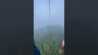 Thrilling High-Speed Zip Line Adventures in Alaska, USA #adventure #zipline #shortsfeed #shorts