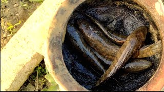 How To Make Easy Fish Trap | Smart Boy Build Fish Trap Used Junk Muddy Pot By Fish Catching in River