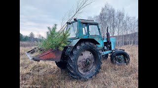 По грязи на МТЗ-80 за саженцами!