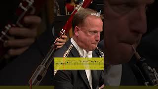 #oboe solo - a gem in Strauss's Don Juan  #classicalmusic