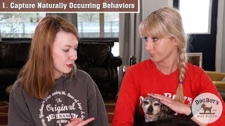 3 Ways to Create Positive  Behaviors With Your Dog (& Other Animals!) | Dog Behavior & Training