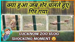 Lucknow zoo vlog in hindi | shocking moment | AK GORAKHPURIYA