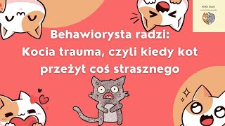 Kocia trauma, czyli co zrobić, gdy kot przeżył coś strasznego i nie może dojść do siebie