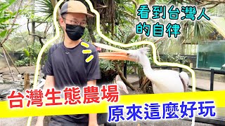 【移民台灣生活】台灣生態農場超好玩！好多動物自由走動，看到台灣人的自律｜貓奴與寵物移民紀錄 #領養不棄養（含少量合作）