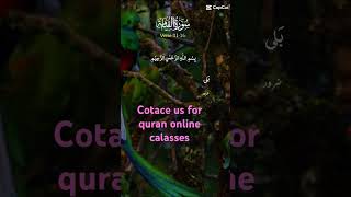 Rahman Quran Online watsap +923451011976