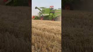 #2024 #combine #harvest #ipl #india #viral #new #jassi#world #whatsappstatus