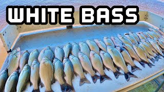 How to catch White Bass DOUBLE LIMIT Trolling & Jigging Carolina Skiff J16