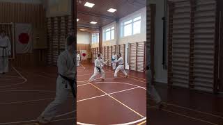 Watanabe-Sensei demonstrating jodan gyaku-zuki