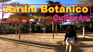 Explorando los Jardines del Jardín Botánico Culiacán| Arte, Ciencia y plantas hermosas