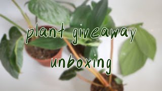 I WON HOUSEPLANTS IN A GIVEAWAY | unboxing