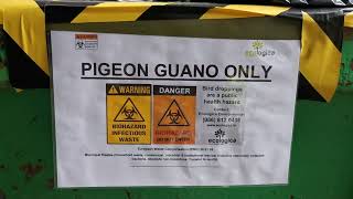 Licensed Removal & Disposal of Pigeon Guano / Droppings & Dead Wildlife | EWC 20 01 99