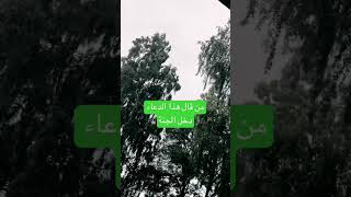 من قال هذا الدعاء دخل الجنة #بدر_المشاري