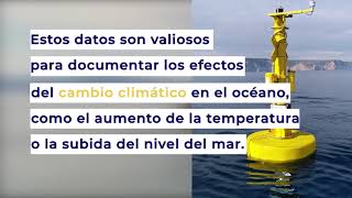 Nueva estación automática de medidas oceanográficas y meteorológicas en las Islas Medes (ESP)