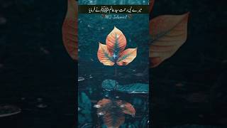 Mere Nabi Pak ﷺ ne farmaya ___Ajmal Raza Qadri #shorts #youtubeshorts