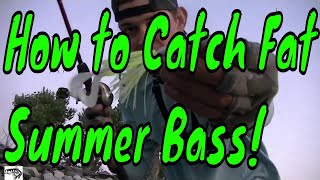 How to Catch Chunky Chatterbait Bass -Lake X in Nevada