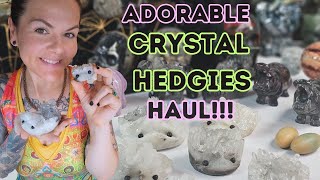 Adorable Crystal Hedgie Haul- Crystal Carvings Dealer-Haul 1 of 2!!