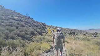 A little wander in the desert | Hise Hikers