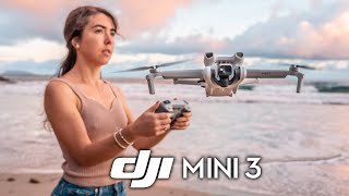 DJI MINI 3, ne avevamo BISOGNO? | Recensione & Test in Anteprima