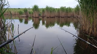 дальняк на мотоциклах з братом/ рыбалка