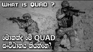 චීනය පවා බියට පත්කර ඇති quad සංවිධානය | what is quad | The Quadrilateral Security Dialogue