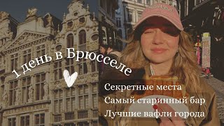 Brussels vlog | Писающая девочка и Самое Вкусное Пиво