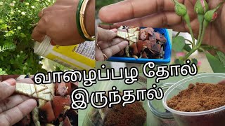 மாடித்தோட்டத்தில்/வாழைப்பழ தோல் / இப்படி செய்யலாமே/Banana Peel Fertilizer