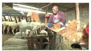 Animal Feed Scarcity in Kenya:  Hon. Silas Tiren, Chair, Agricultural Committee of Parliament, Kenya