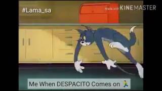 despacito Tom & Jerry