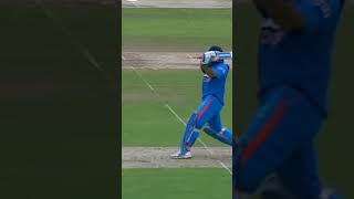 a tribute to msd