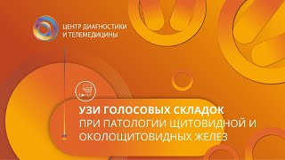 Ультразвуковое исследование голосовых складок при патологии щитовидной и околощитовидных желез