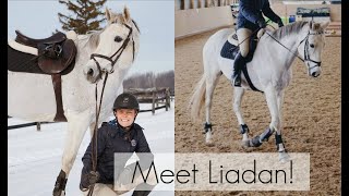 Riding Lesson & Meet Liadan! | HayItsMaya