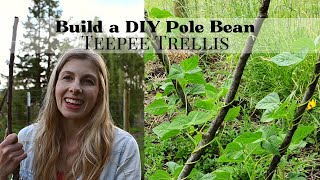 Make a Green Bean Teepee From Scratch | Simple DIY Pole Bean Teepee Trellis