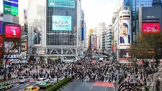 Japan walking  ( 渋谷スクランブルクロッシングライブカメラ ) Shibuya Scramble Crossing Live Camera tolyo