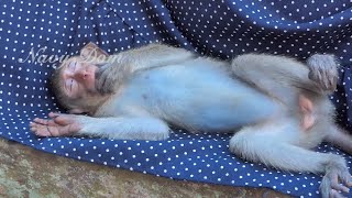 Abandoned Shakira sleep dream well, she feel so safe and relax when sleep on mom's shirt