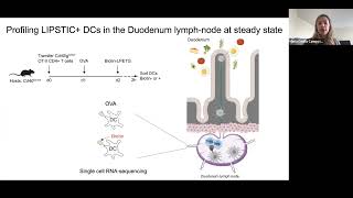 [Maria Cecilia Canesso] Dendritic cell-T cell interactions driving immune responses to food